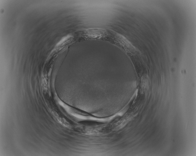 X0000085071394200704021358