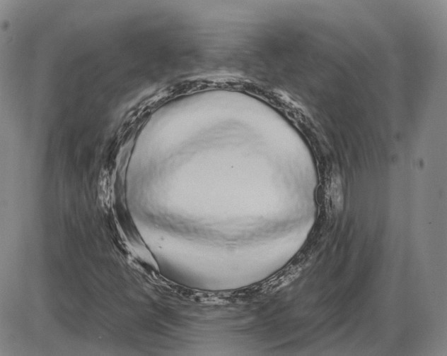 X0000085071398200704021358