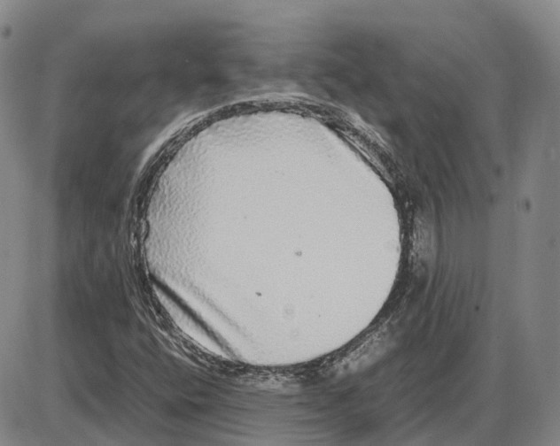 X0000085071400200704021358