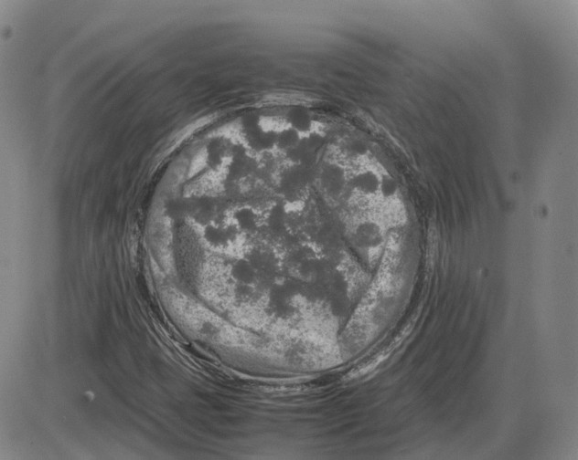 X0000085071401200704021358