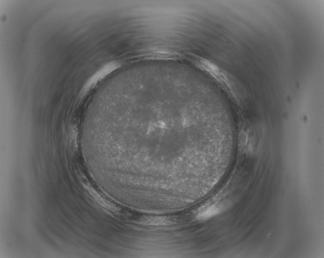 X0000085071402200704021359