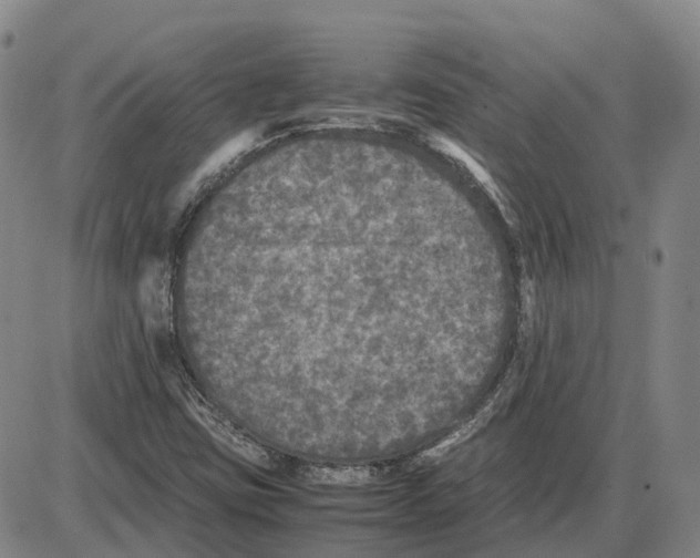 X0000085071403200704021359