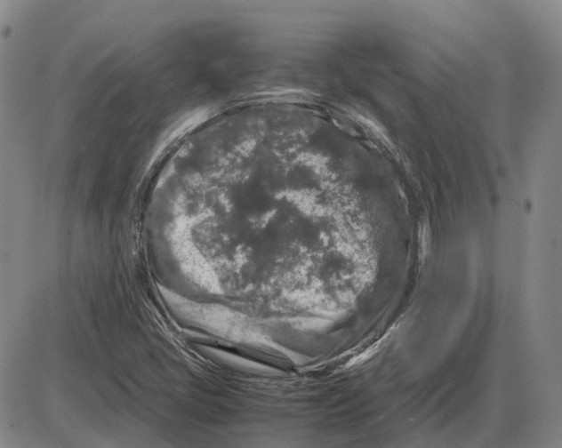 X0000085071405200704021359