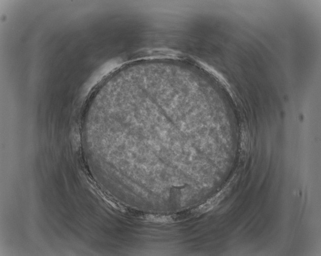 X0000085071407200704021359