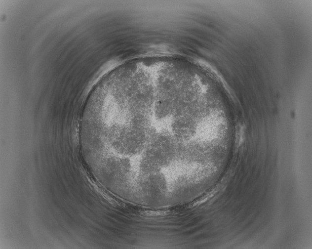 X0000085071409200704021359