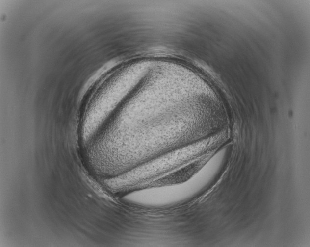 X0000085071410200704021359