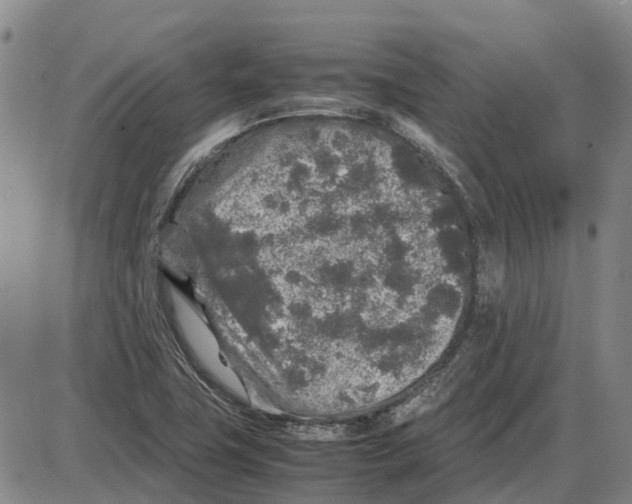 X0000085071411200704021359