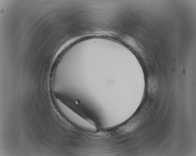 X0000085071412200704021359