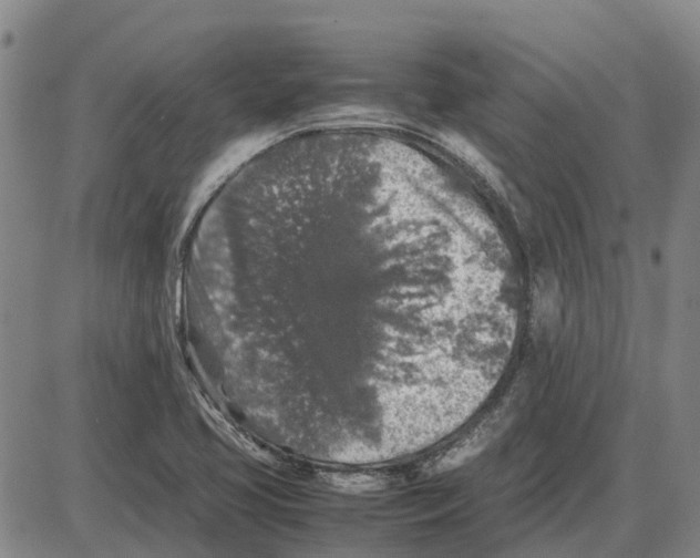 X0000085071413200704021359