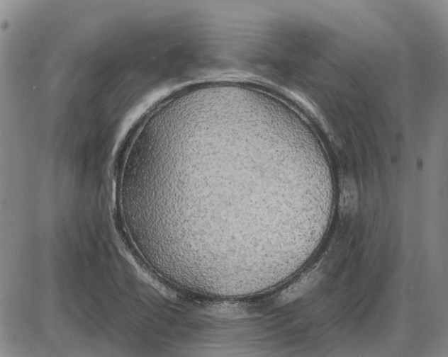 X0000085071414200704021359