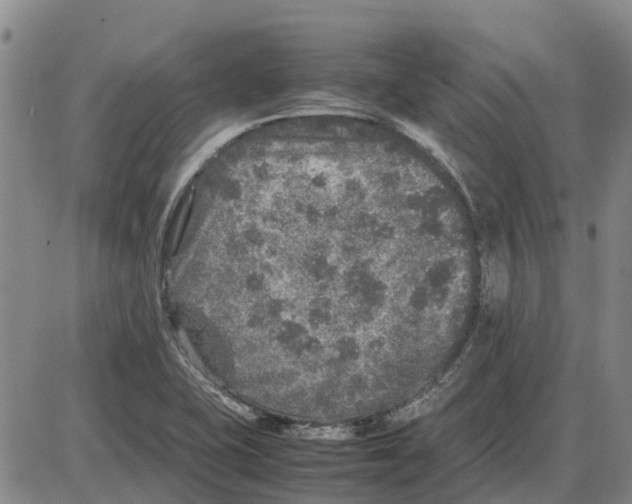 X0000085071415200704021359