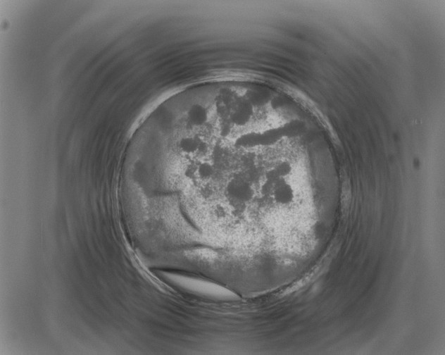 X0000085071417200704021359