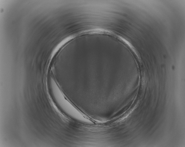 X0000085071418200704021359