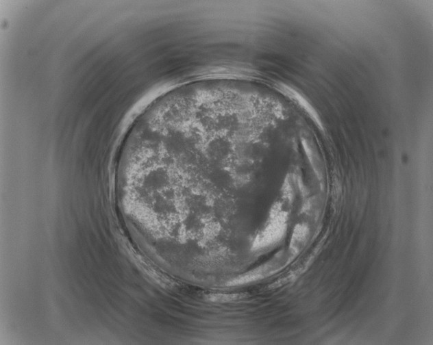 X0000085071419200704021359