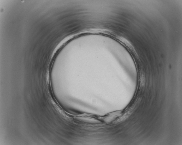 X0000085071420200704021359