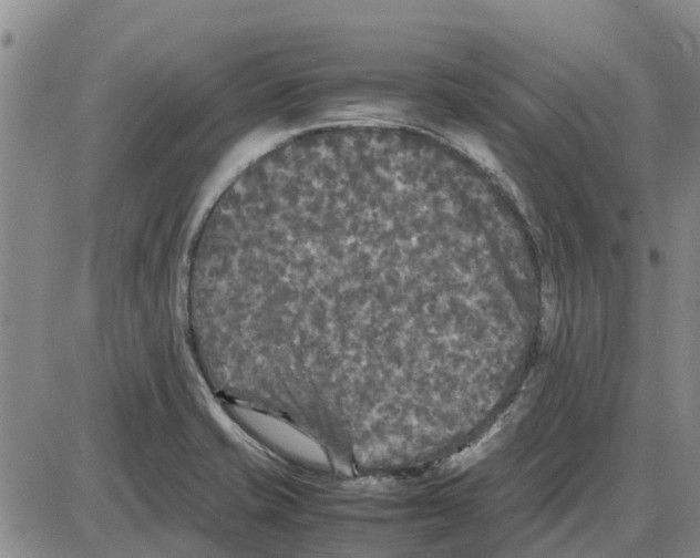 X0000085071421200704021359