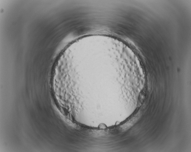 X0000085071422200704021359