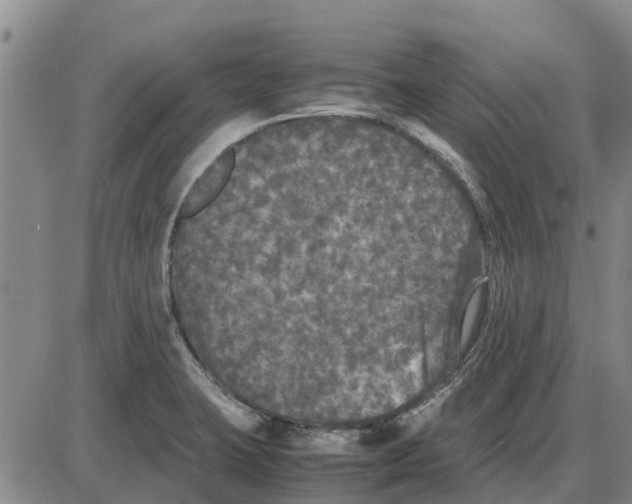 X0000085071423200704021359