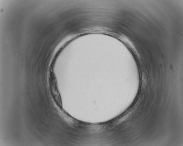 X0000085071424200704021359