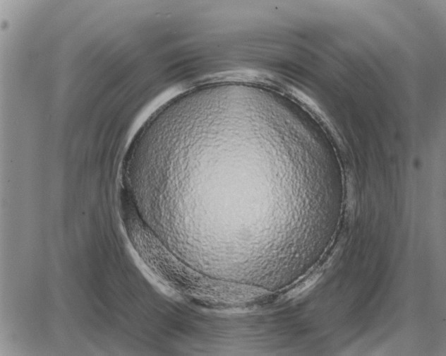 X0000085071426200704021359