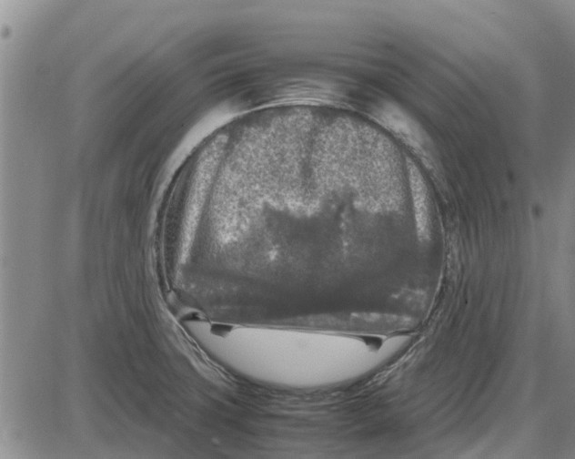 X0000085071427200704021359