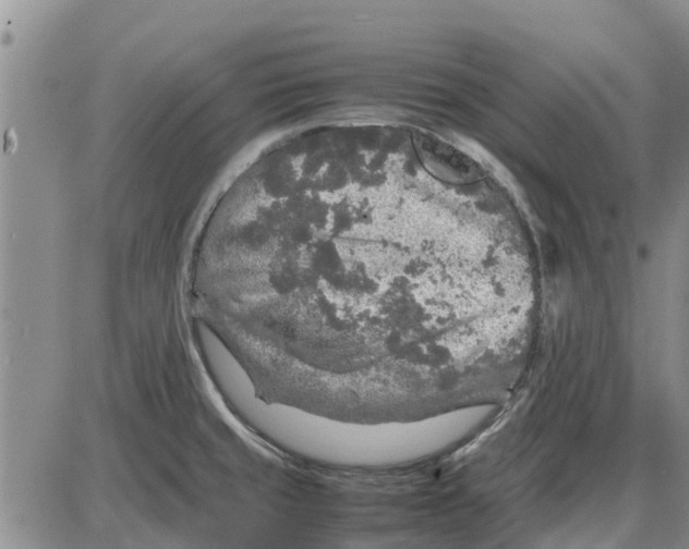 X0000085071429200704021359