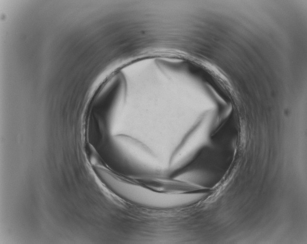 X0000085071430200704021359