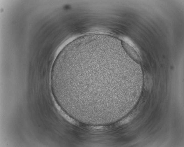 X0000085071431200704021359