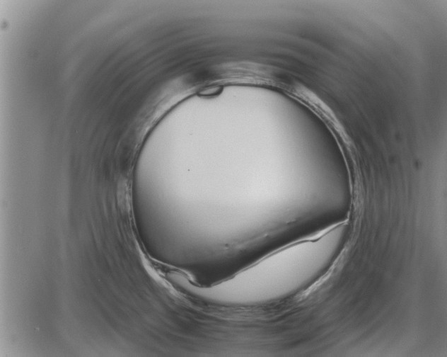 X0000085071433200704021359