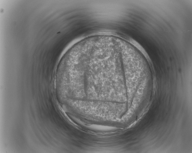 X0000085071436200704021359