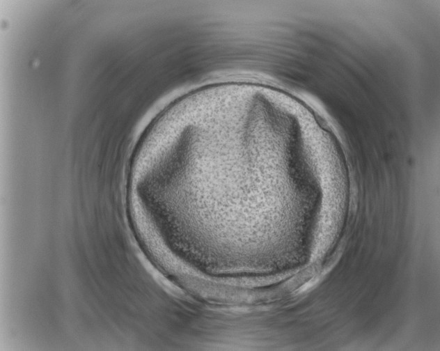 X0000085071438200704021359