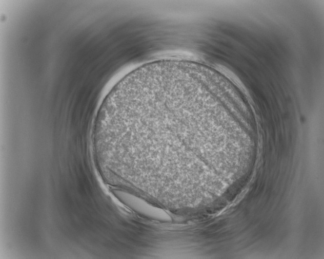 X0000085071440200704021359