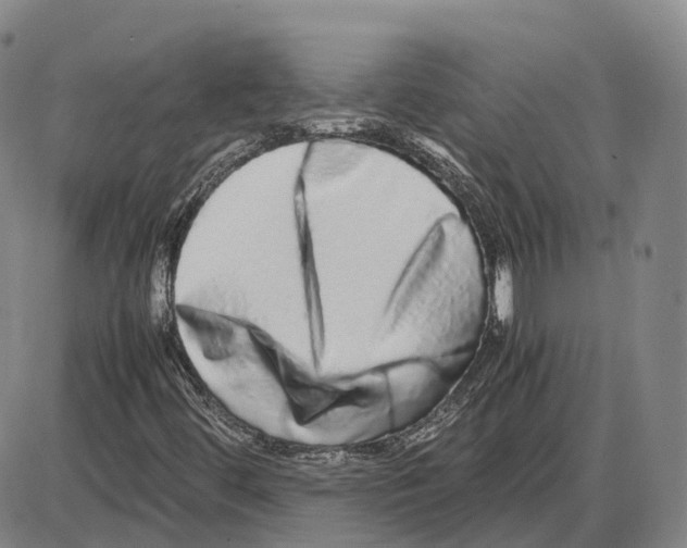 X0000085071444200704021358