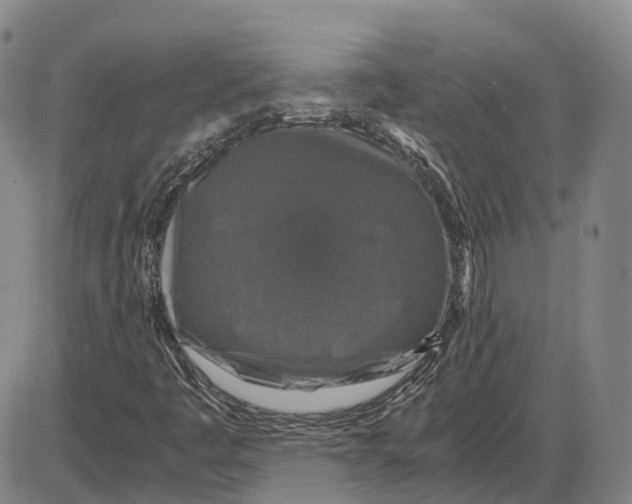 X0000085071445200704021358