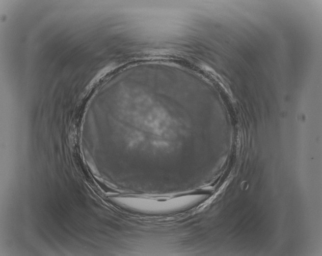 X0000085071449200704021358