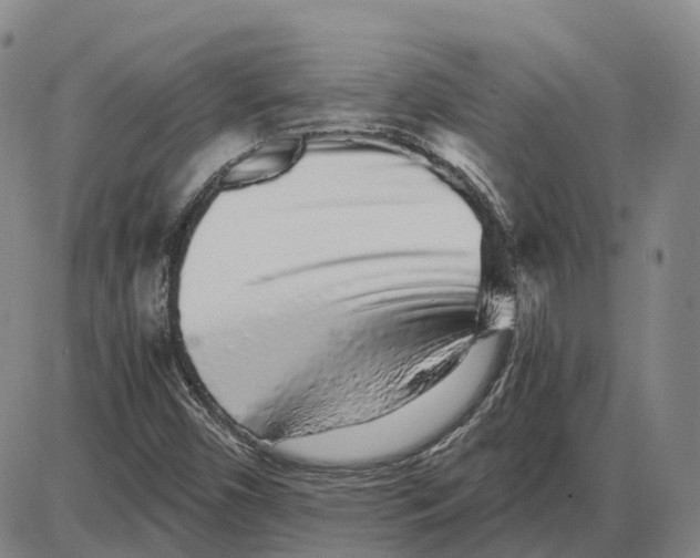 X0000085071450200704021358