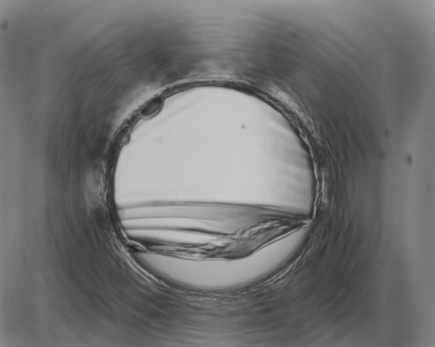 X0000085071452200704021358