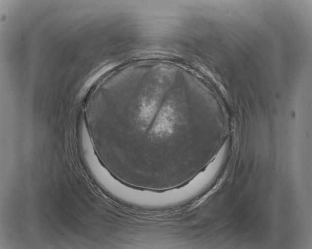 X0000085071453200704021358