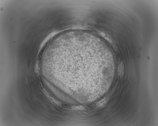 X0000085071454200704021358