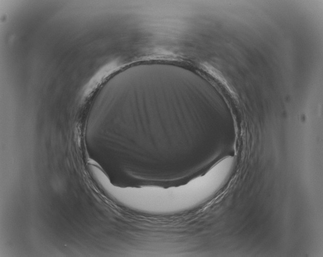 X0000085071455200704021358