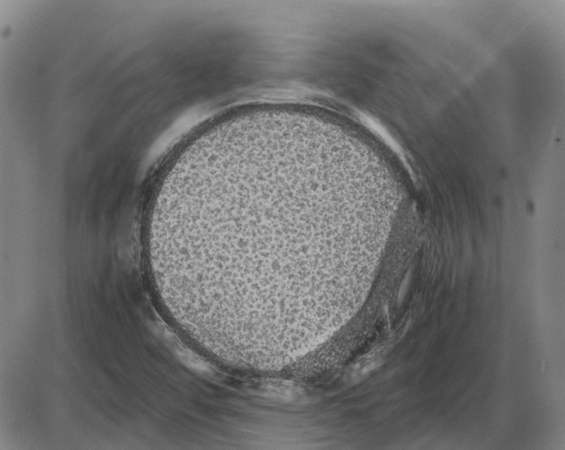 X0000085071456200704021358