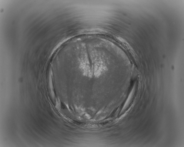 X0000085071457200704021358