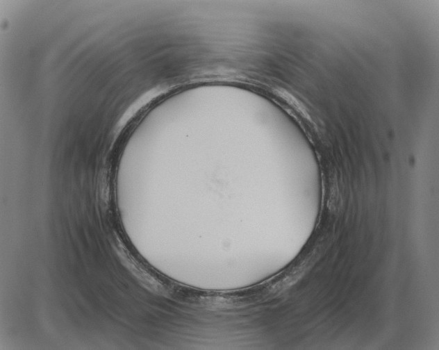 X0000085071458200704021358