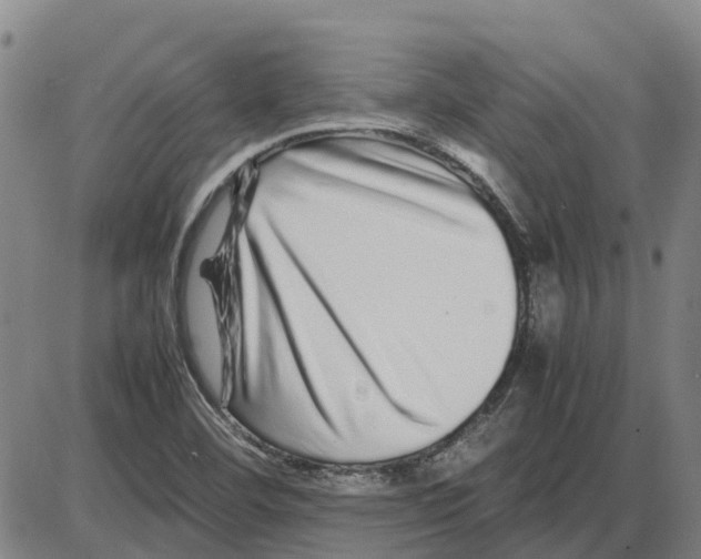 X0000085071460200704021358