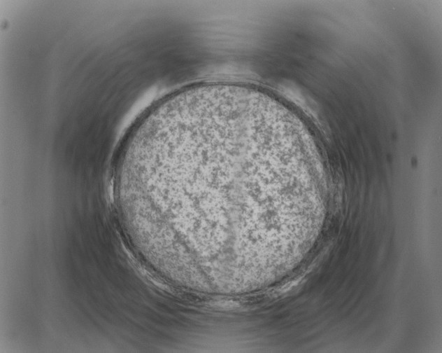 X0000085071462200704021358