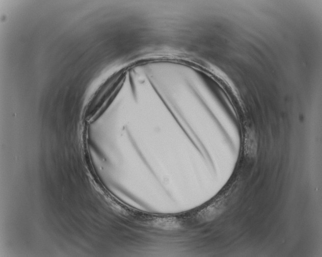 X0000085071464200704021358