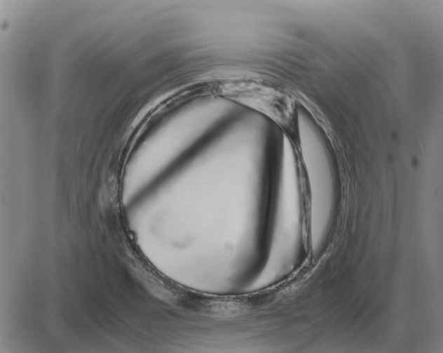 X0000085071465200704021358