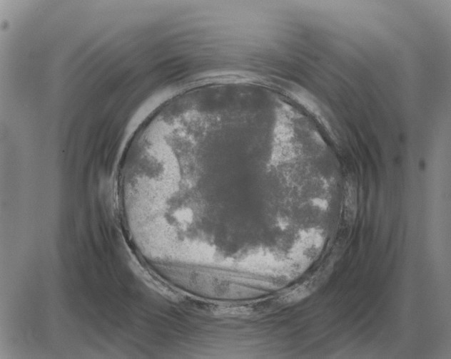 X0000085071466200704021358