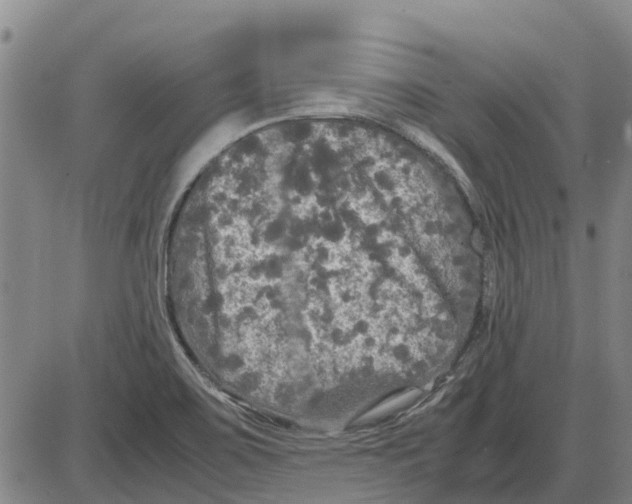 X0000085071467200704021358