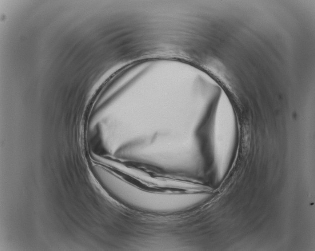 X0000085071468200704021358